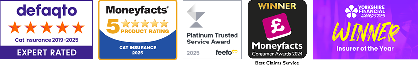 A collection of images showing the awards that The Insurance Emporium has won