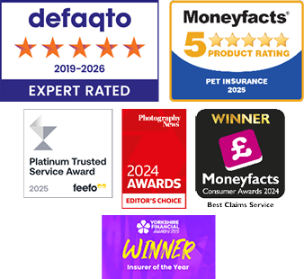 A collection of images showing the awards that The Insurance Emporium has won