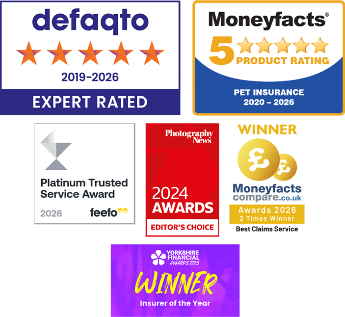 A collection of images showing the awards that The Insurance Emporium has won