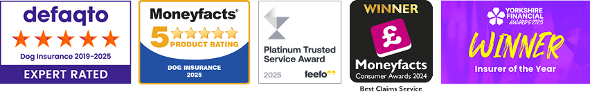 A collection of images showing the awards that The Insurance Emporium has won