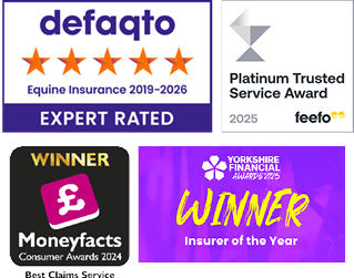 A collection of images showing the awards that The Insurance Emporium has won