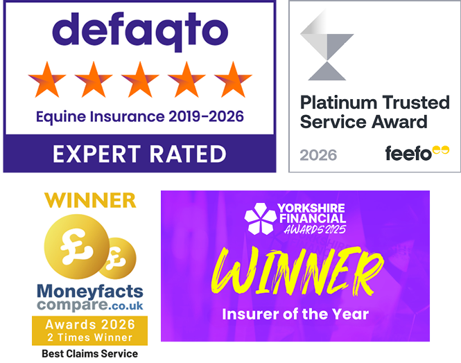 A collection of images showing the awards that The Insurance Emporium has won