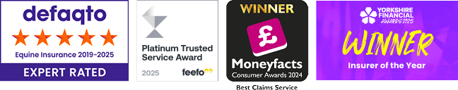 A collection of images showing the awards that The Insurance Emporium has won