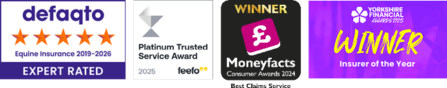 A collection of images showing the awards that The Insurance Emporium has won