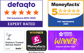 A collection of images showing the awards that The Insurance Emporium has won