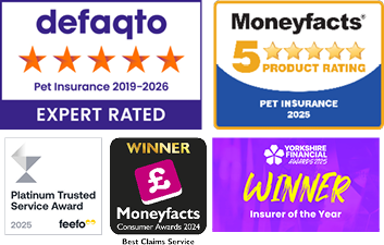 A collection of images showing the awards that The Insurance Emporium has won