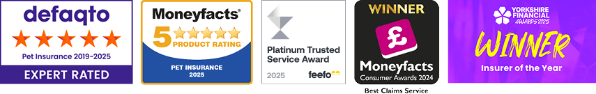 A collection of images showing the awards that The Insurance Emporium has won