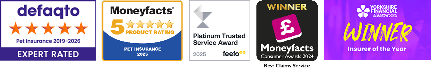 A collection of images showing the awards that The Insurance Emporium has won