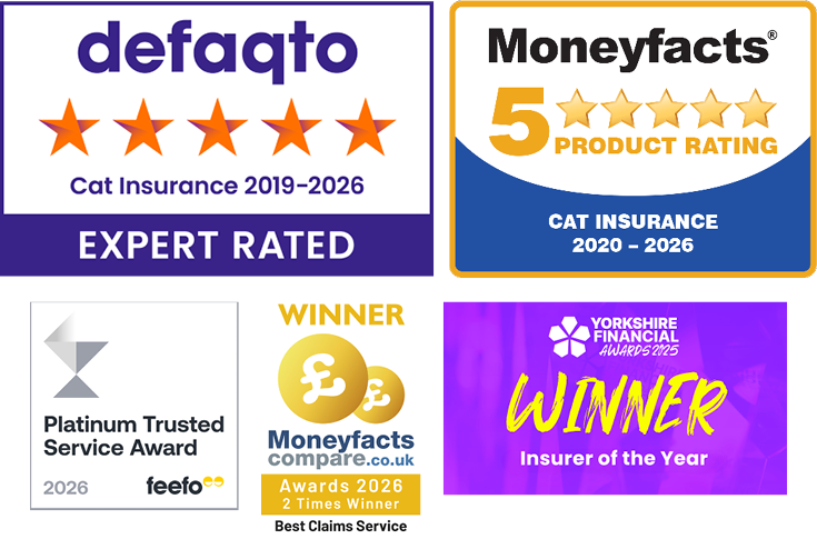 A collection of images showing the awards that The Insurance Emporium has won