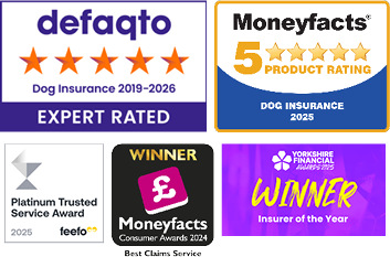 A collection of images showing the awards that The Insurance Emporium has won