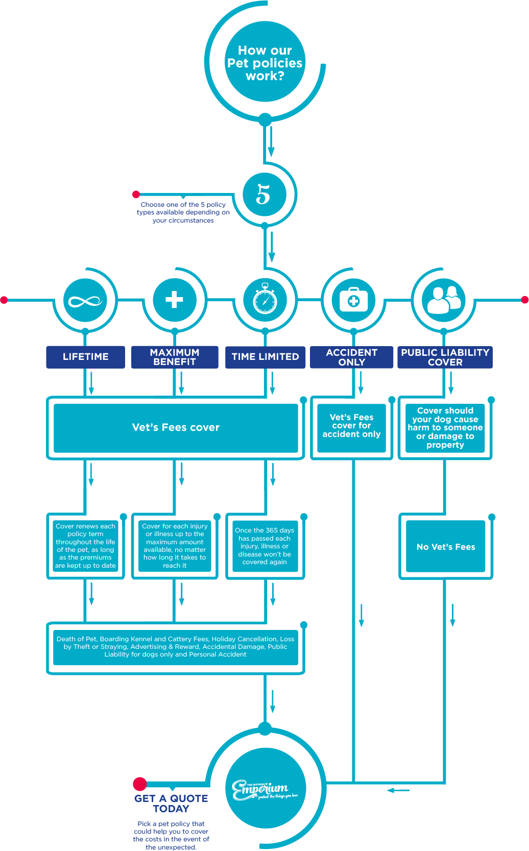 A flowchart showing how our pet policies work