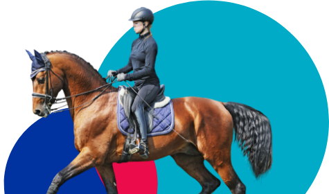 Young woman riding a brown horse